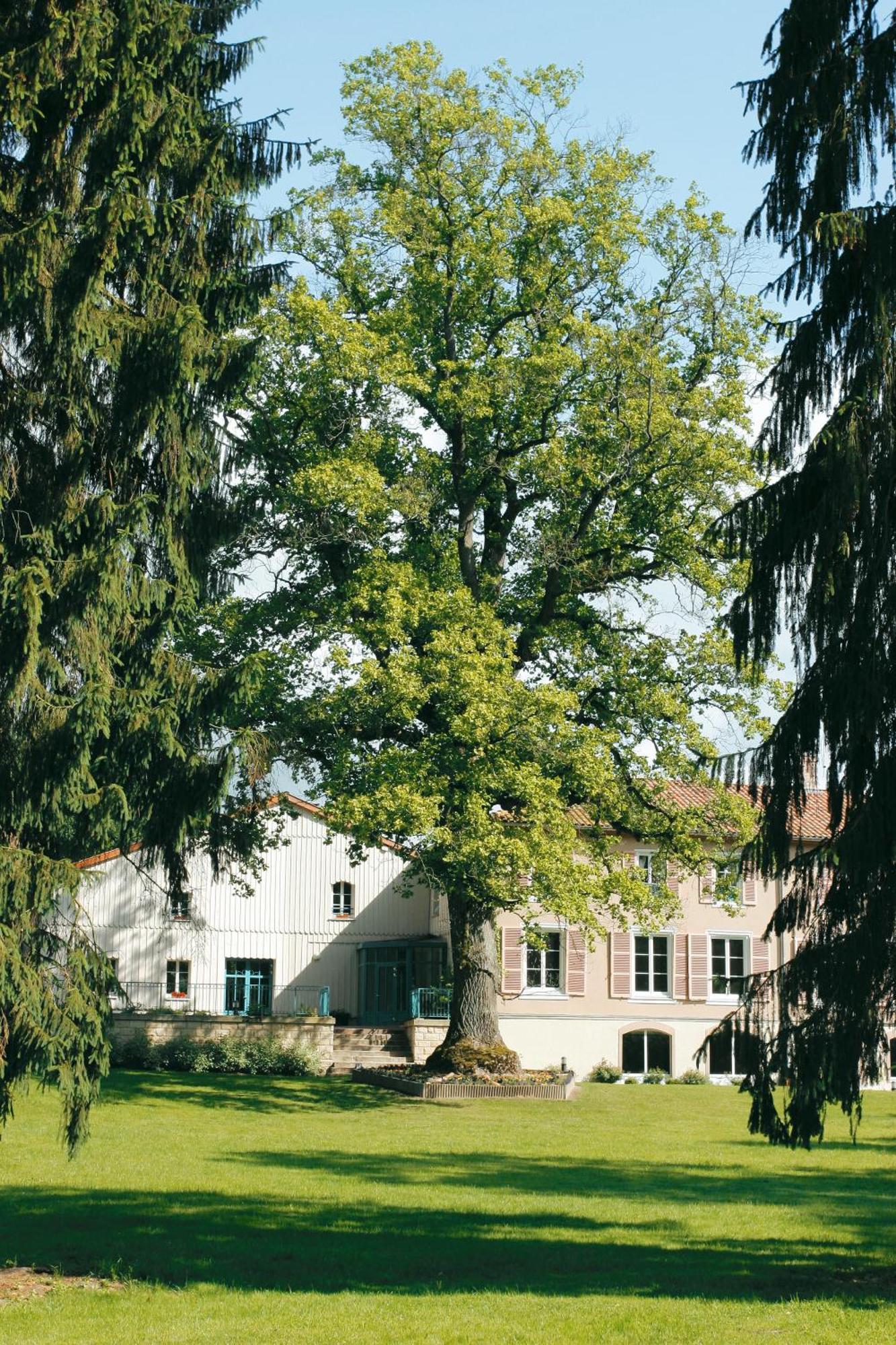Logis Hotel - Restaurant Le Tulipier Vienne-le-Château Cameră foto